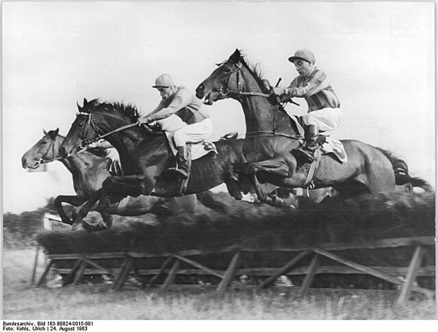 Horse racing in the 1960s. Image by Ulrich Kohls.