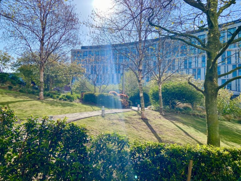 Chavasse Park in Liverpool