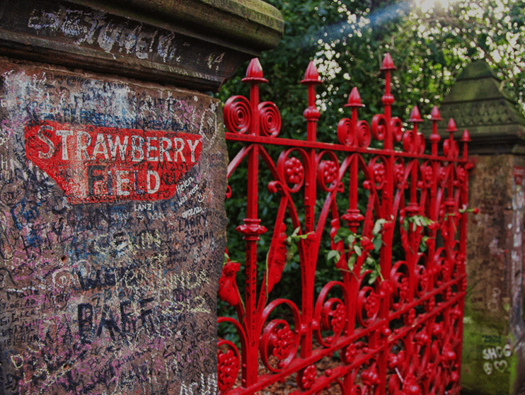 Strawberry Fields Forever: A New Vision