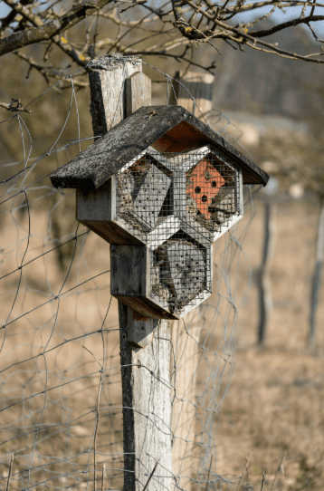 Bee hotel.